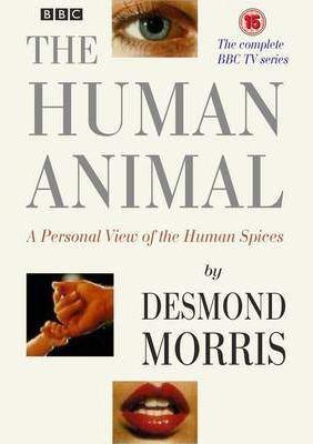 the human animal tv series 385657328 large - El mono desnudo Dvdrip Español