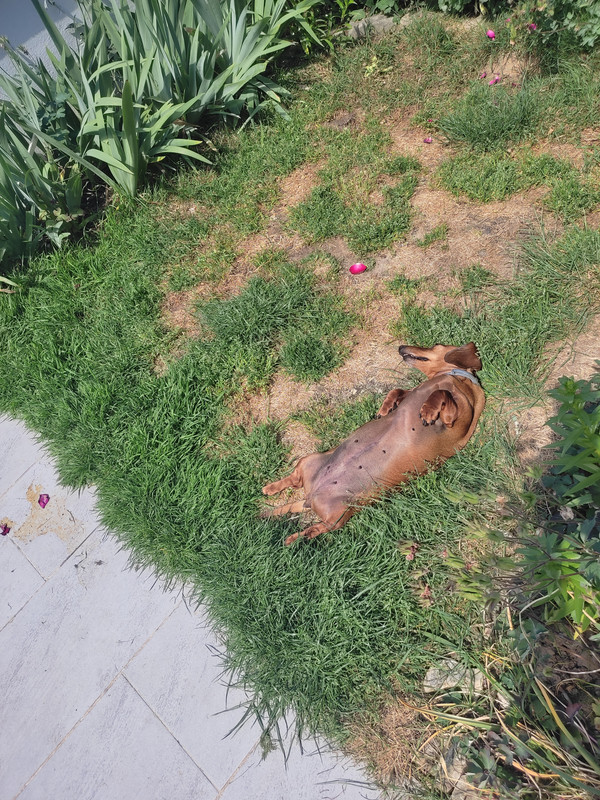 [Image: IMG-20250523-122516.jpg]