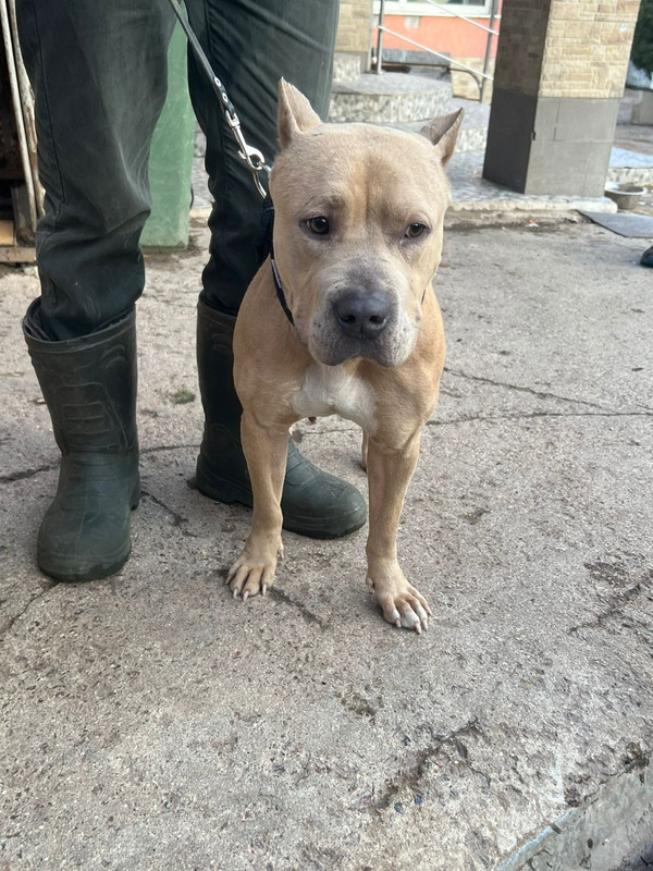 WhatsApp Image 2024-11-22 at 13.39.29 (1)