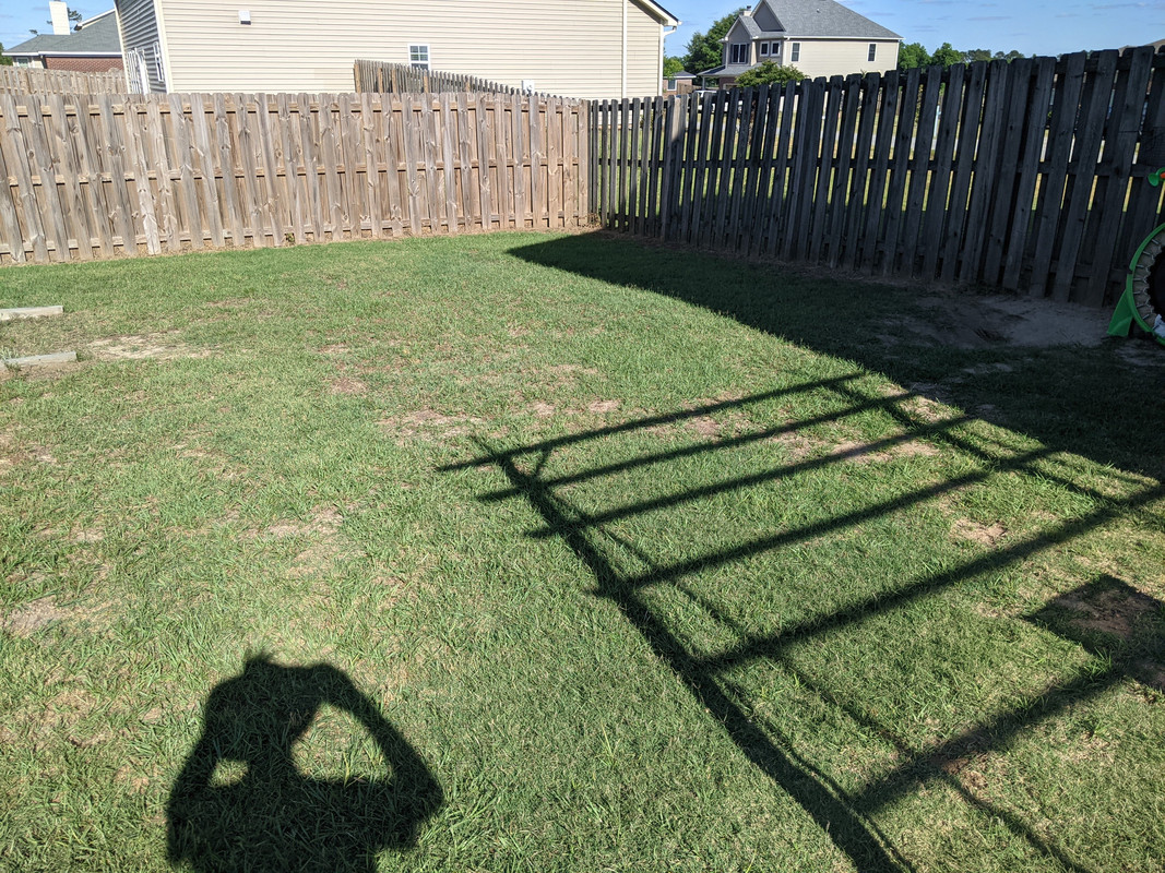 2021.05.30 back yard 2