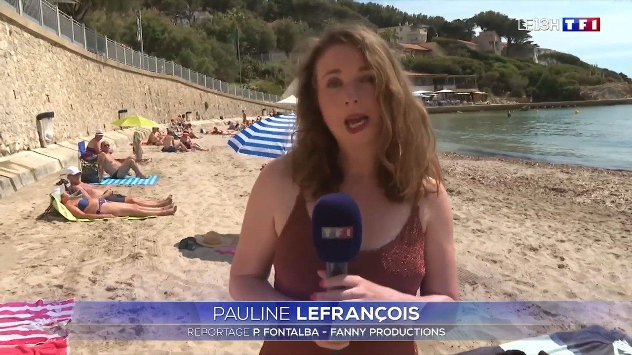 2021-06-11_13_00_TF1_Le-13h.mp4_snapshot_00.28.31.842