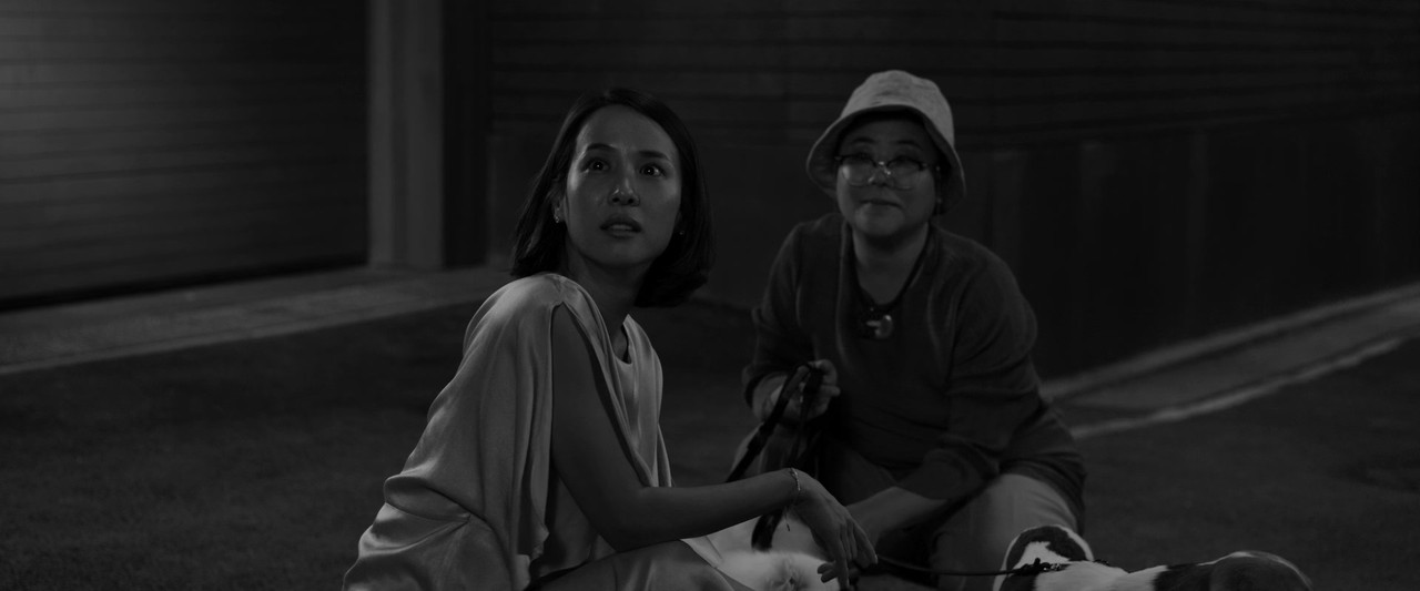 Parasite (2019) Black and White (1080p BDRip x265 10bit TrueHD Atmos 7.1 - HxD) [TAoE].mkv_20200613_