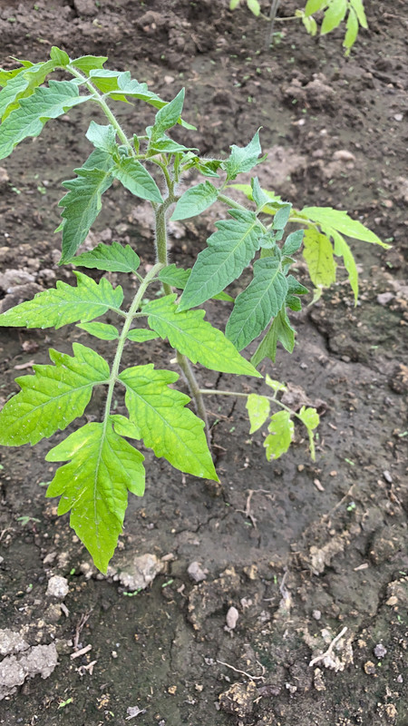 A124B076-3D21-482D-8F2B-5436AC1C579C