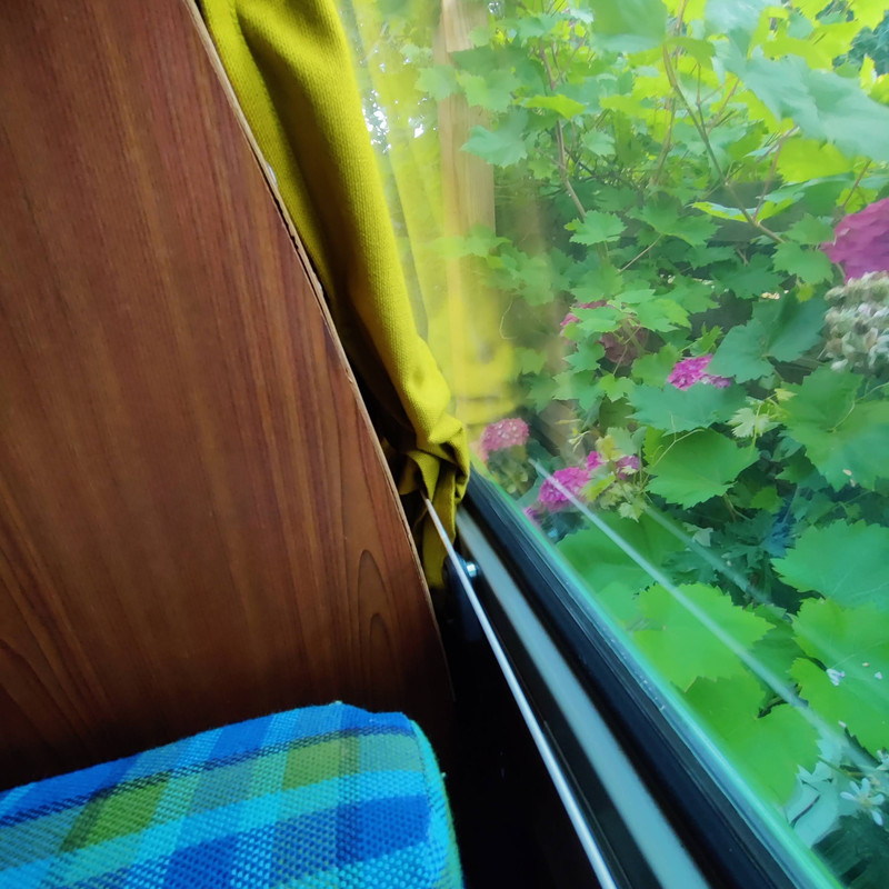 IMG_20220706_112936 (1)