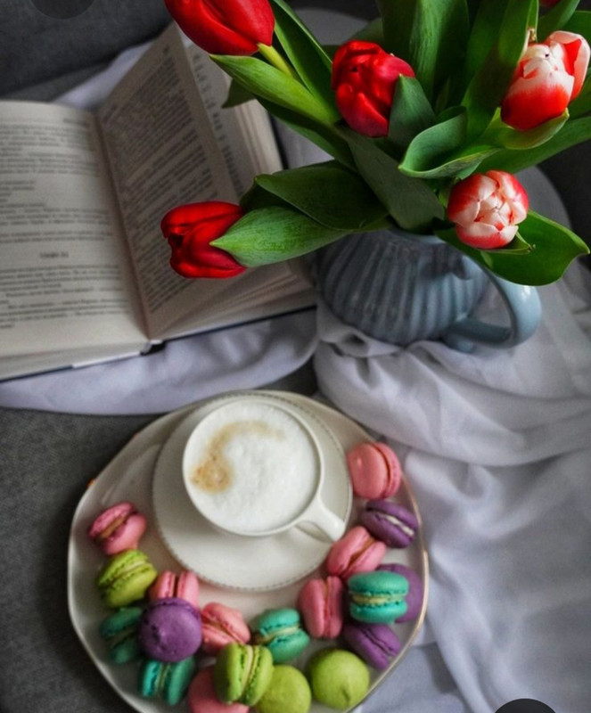 Screenshot_20230409_212013_Pinterest