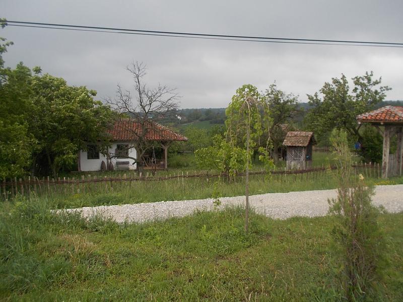 Slika