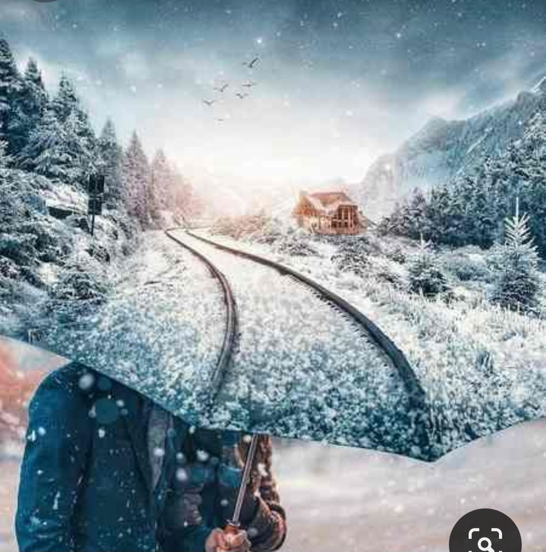 Screenshot_20231212_132755_Pinterest