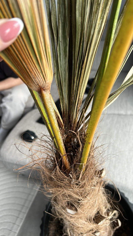 F64E13CE-67F4-4ABB-A83B-B4951E4E0283