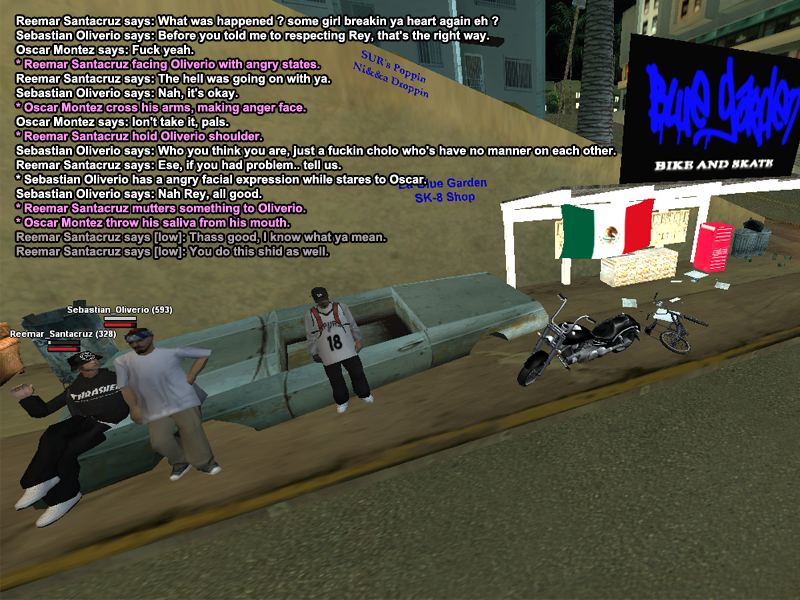 ss119.png