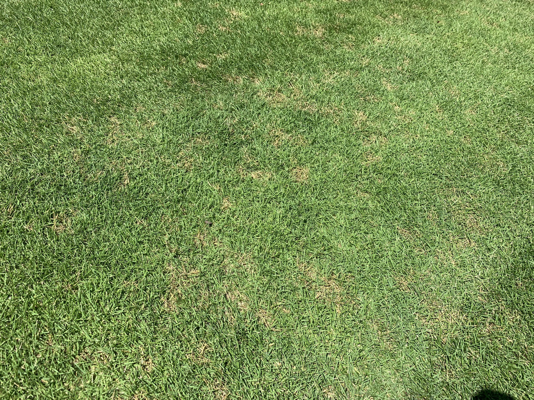 ADDEDAE3-294C-488E-A856-44731CD64A28