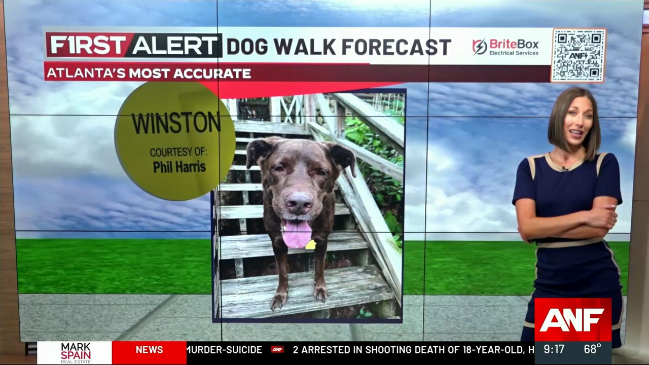 Atlanta News First at 9am_20230921_14001500.ts_snapshot_00.23.40.628