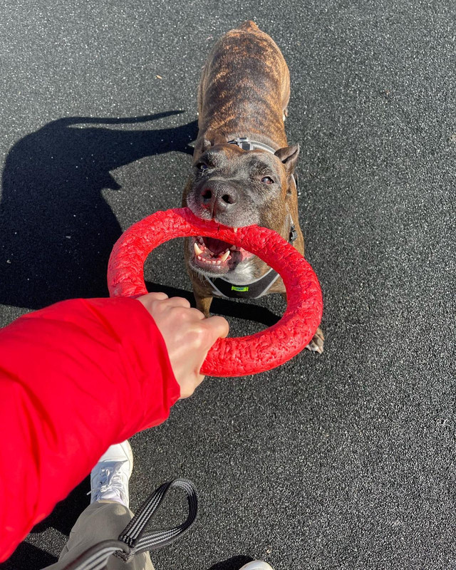 002550C1-94E8-4144-AF62-C2ABF5D439C6