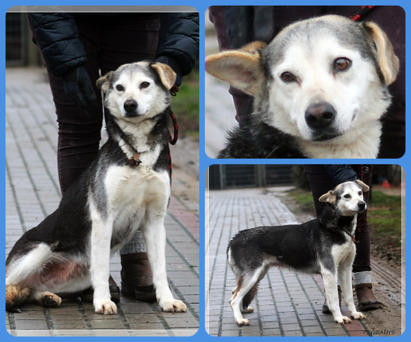 BeFunky-collage (25)