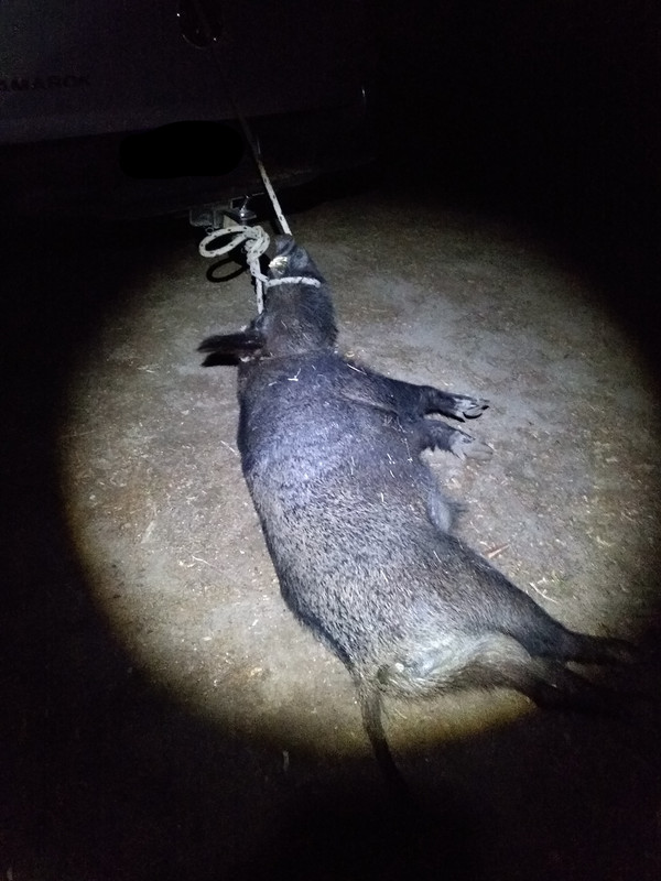 IMG_20200807_001734292_LI