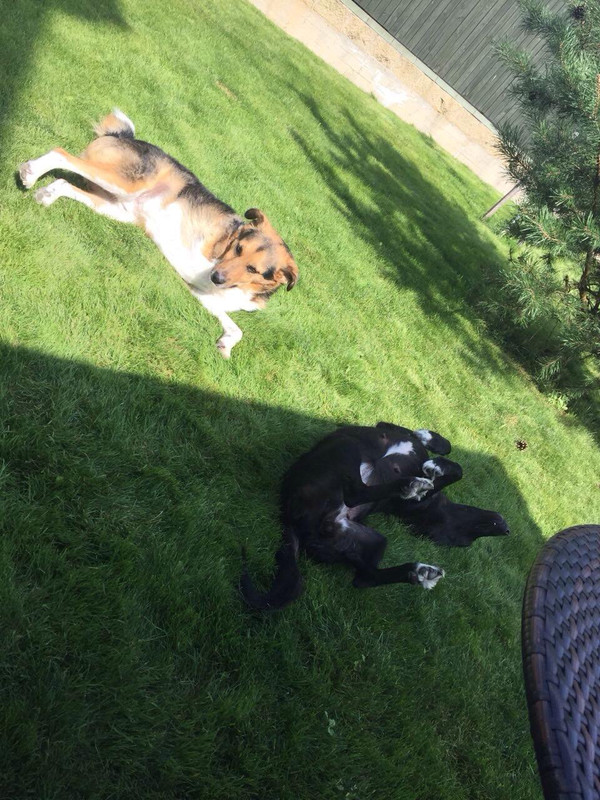 IMG-1f33d990d0c4808d57f0d746a22f3886-V