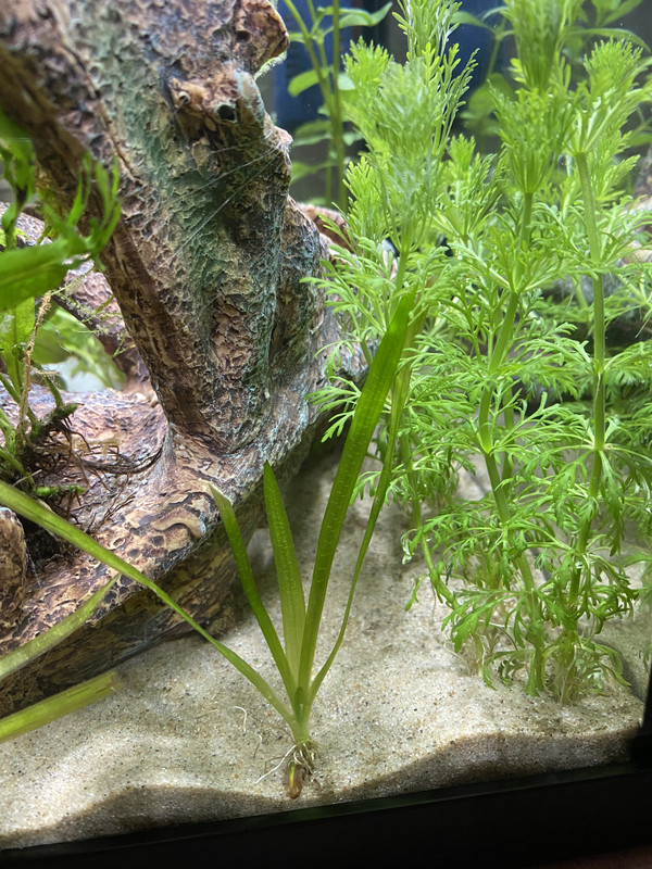 90EFAA86-6B8C-470F-8A1B-C73AD284D4A8