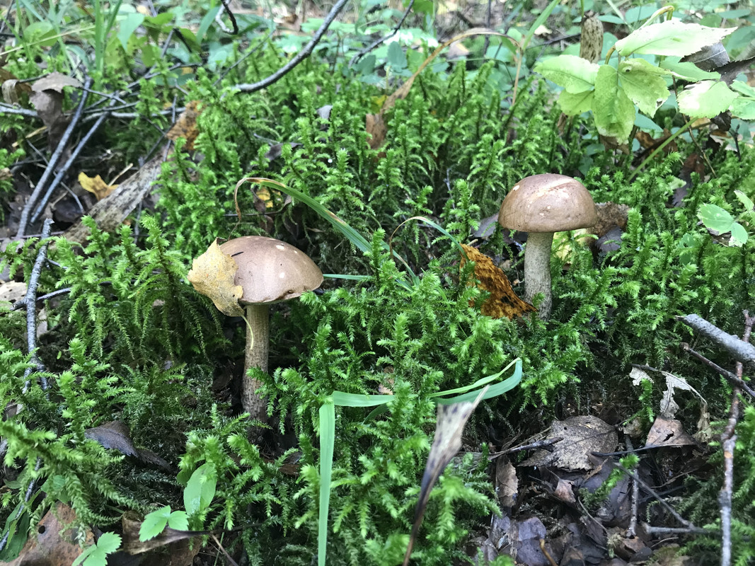 CC70AB94-EC77-4B4B-8314-CAC859A0BC3C