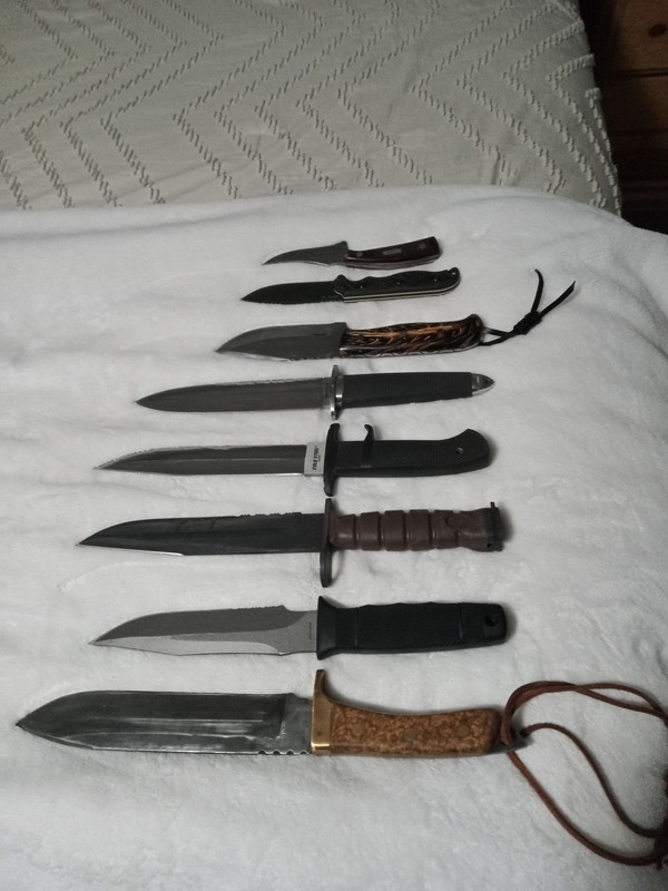 IMG 20251103 202526760