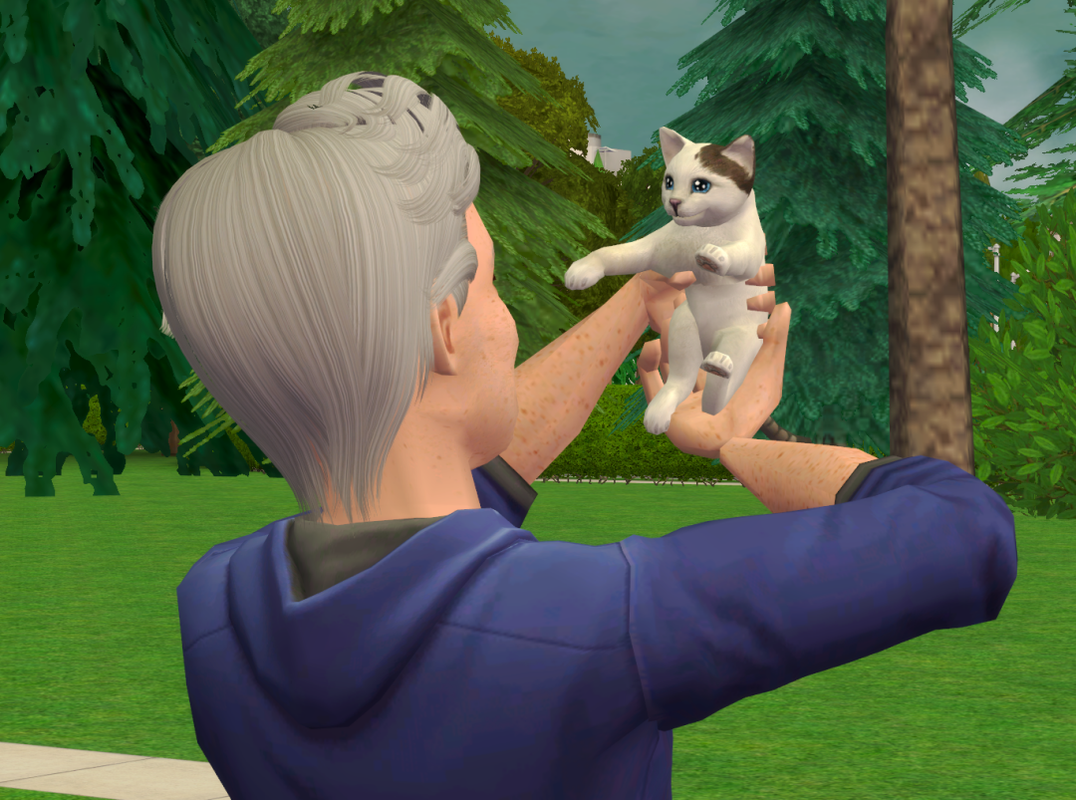 Sims2-EP9-RPC-2024-01-13-17-22-15-22