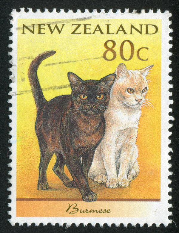 600px-kiwi-cat-stamp