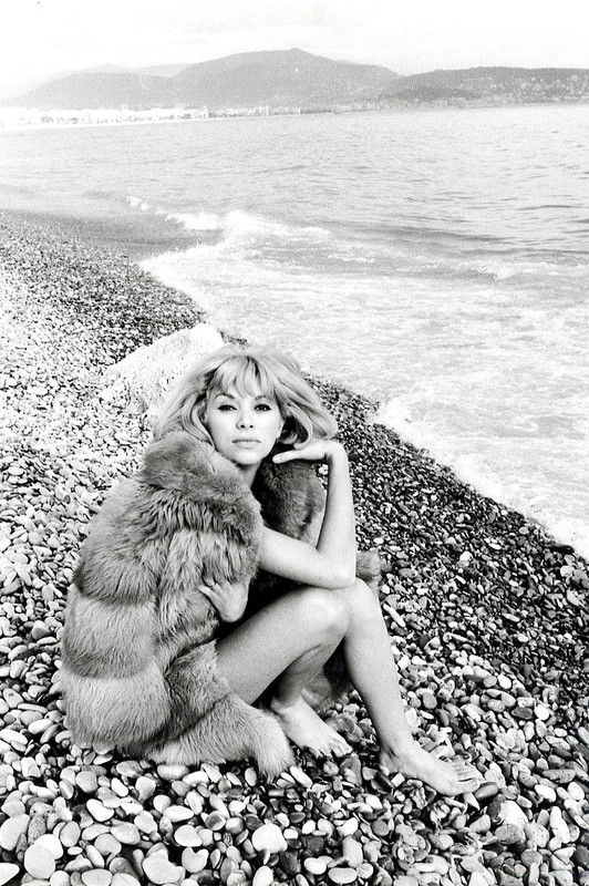 mireille_darc_b72