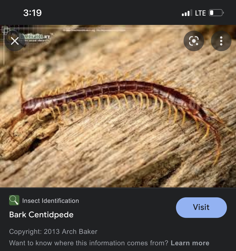 7F5C75B2-3C40-4FA3-9BEE-42E89332F028