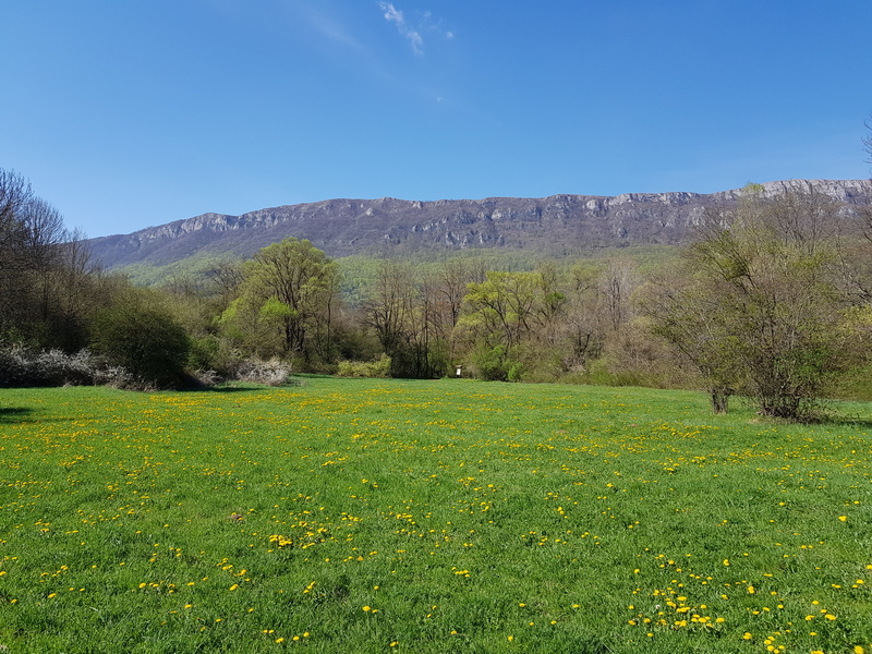 Slika