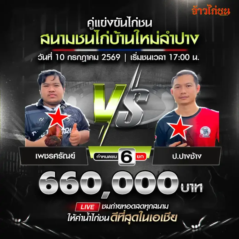 เพชรศรัณย์ พบ ป.ปางช้าง โปรแกรมไก่ชนสนามชนไก่บ้านใหม่ลำปาง วันที่ 10 กรกฎาคม 2569