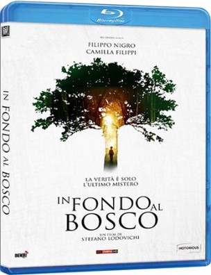 In Fondo Al Bosco (2015) HD 720p x264 DTS+AC3 ITA AC3 FRA