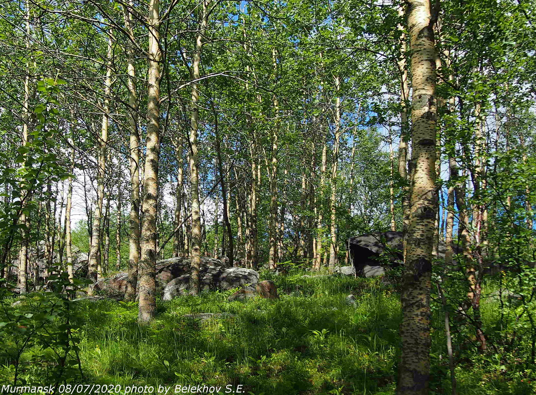 Мурманск, сопки Мурманск, сопки