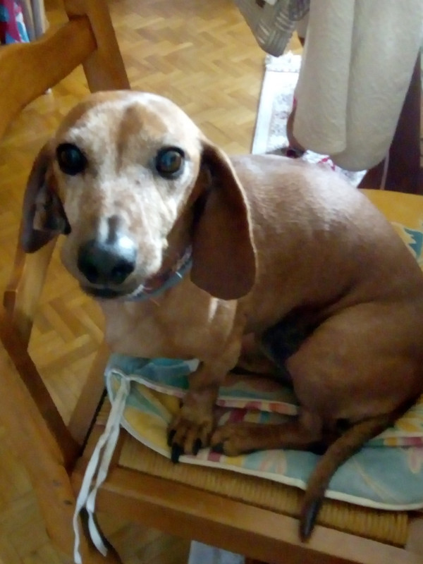 [Image: image000000-126.jpg]