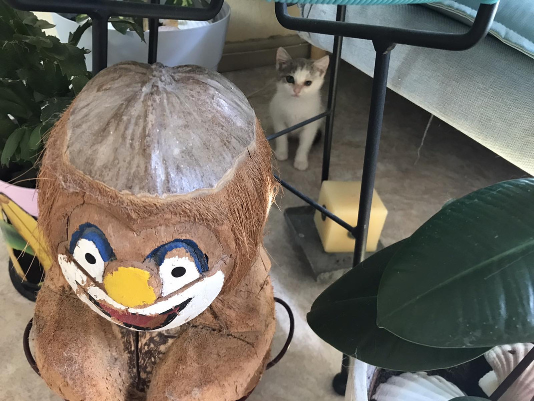 28066677-5EC0-4BD6-9E85-F872AE2D93BC