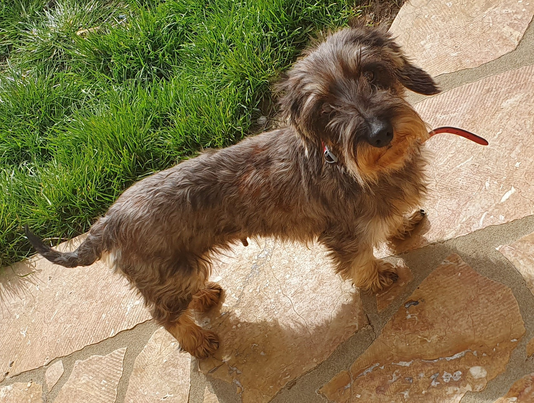 [Image: 20210313-123456.jpg]