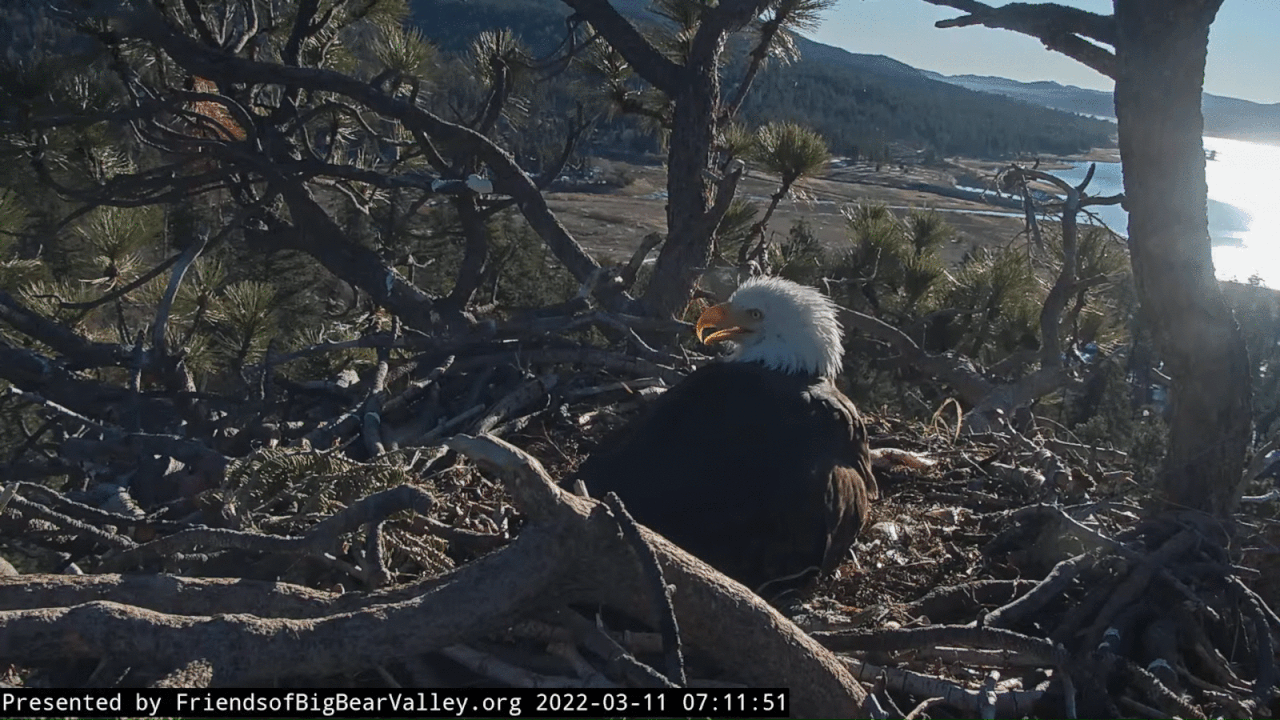 Webp.net-gifmaker (6)