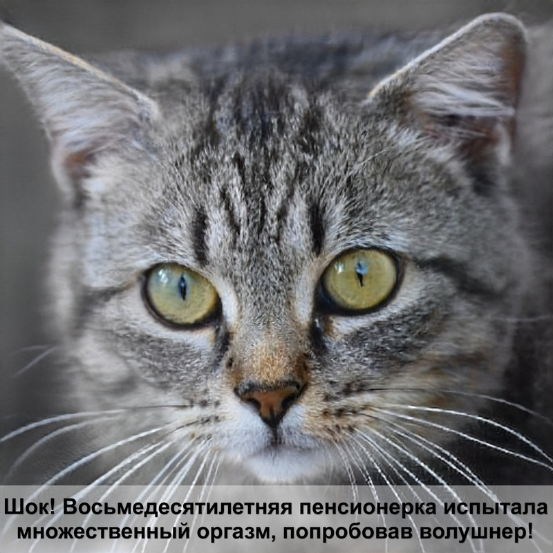 капли от клещей для кошек