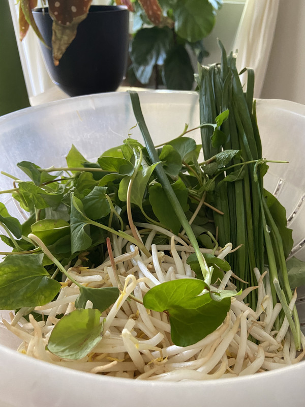 C0712688-487C-49E1-8B86-C649AB786585