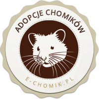 Adoptuj chomika