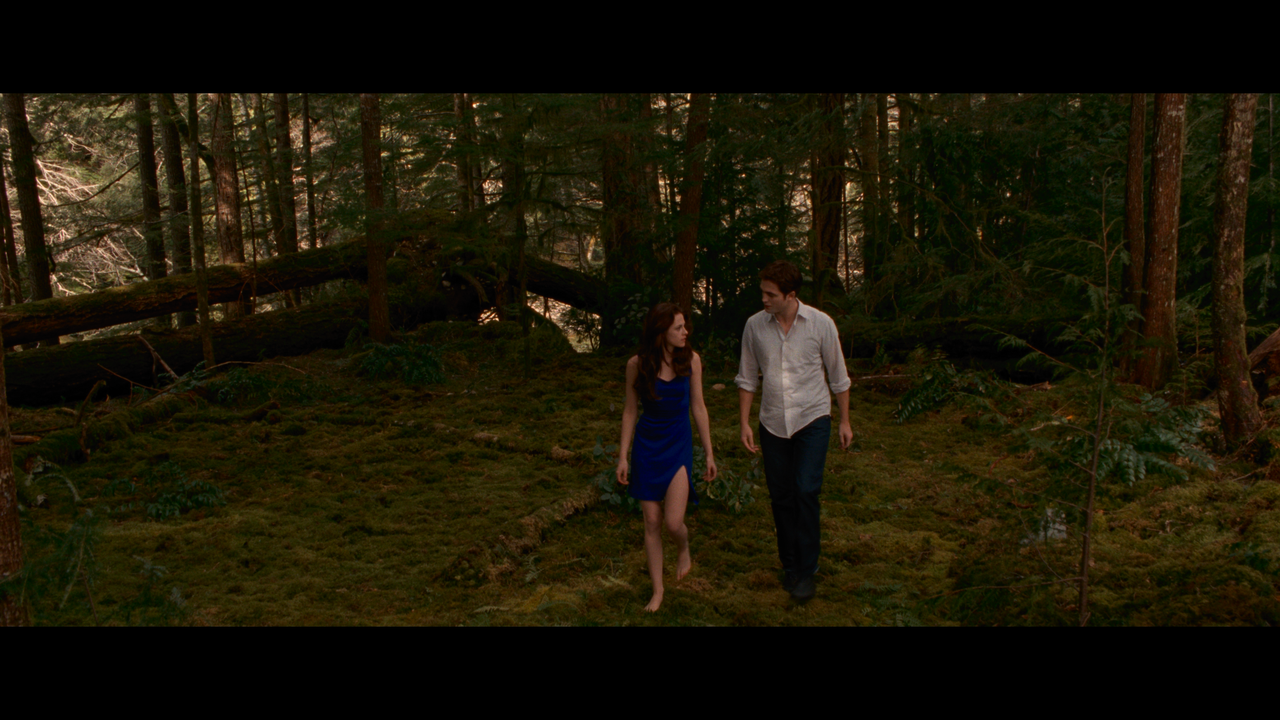 mpv-shot_The.Twilight.Saga.Breaking.Dawn.Part.2.2012.2160p.UHD.BDREMUX.HDR.DV.HEVC-Нечипорук_00_08_0