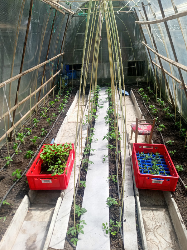 IMG_20250427_124934_255