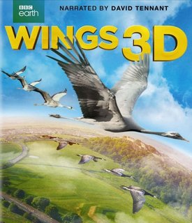 Wings-3-D-Half-Over-Under-1080p-2014-Eng-Hun-Sub.jpg