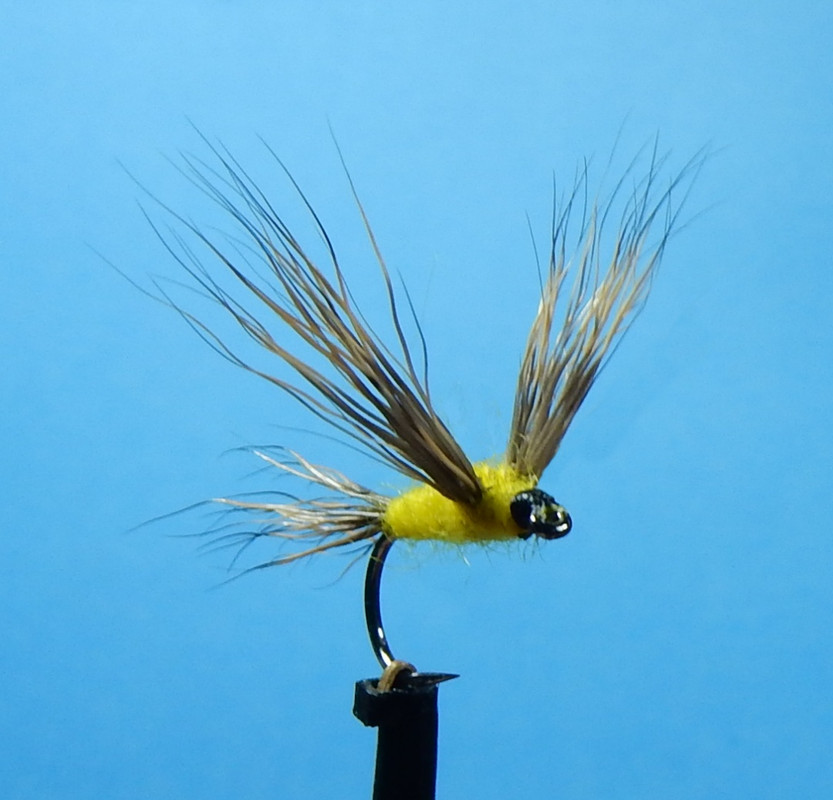 Cramer-front-1080.jpg