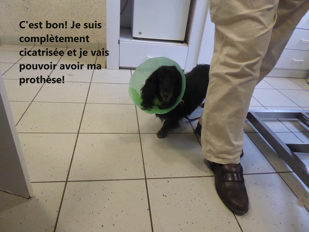 [Image: P1030982.jpg]