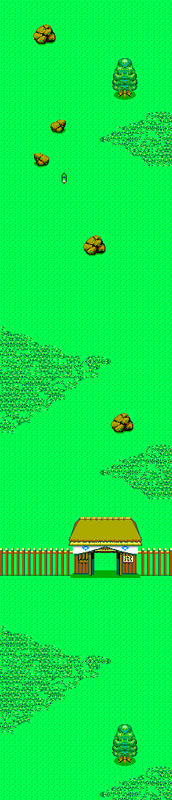 Ninja-SMS-Level1GrassyField