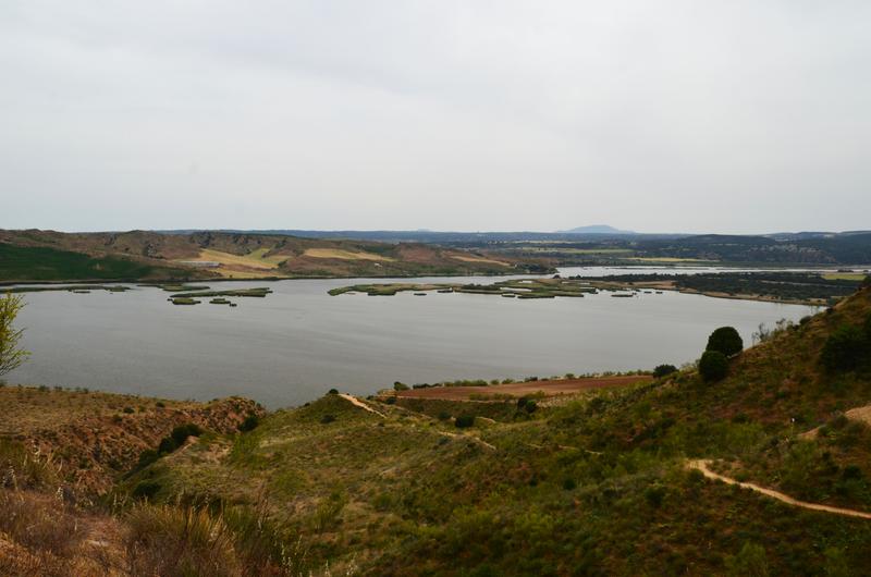 Barrancas de Burujón-2015/2025 - Toledo y sus pueblos-1996/2026 (24)