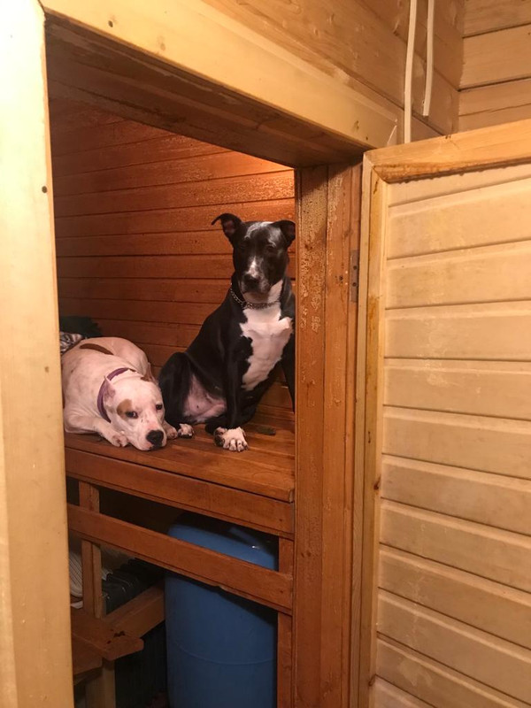 253CCD0E-DCC4-43C5-9649-7F53CC145024