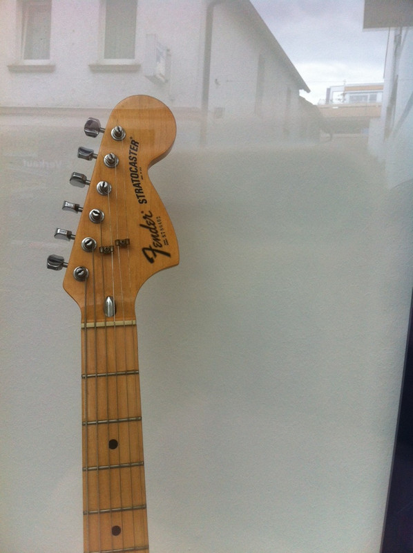 фотография (13)