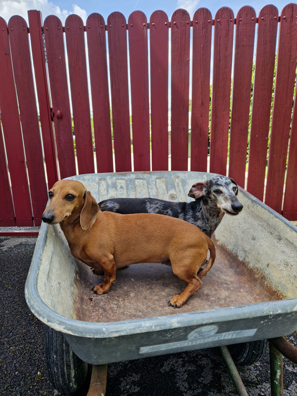 [Image: 20240505-144353.jpg]