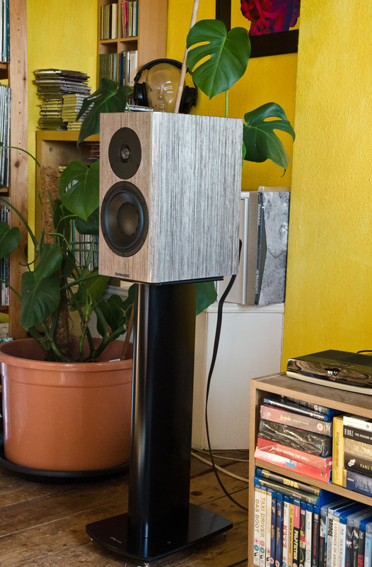 dynaudio special 40s