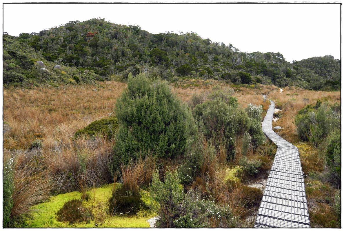 Kahurangi NP: Heaphy Track (Navidad 2020, III) - Escapadas y rutas por la Nueva Zelanda menos conocida (28)