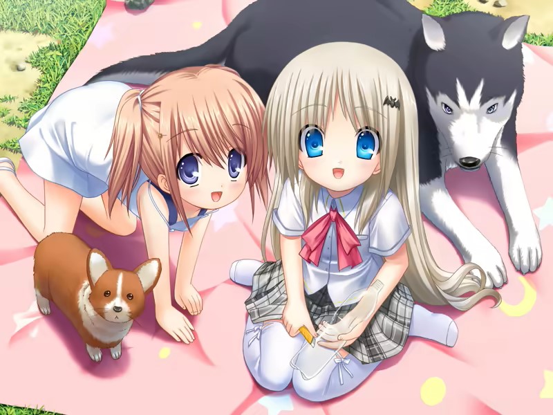 kud1.jpg